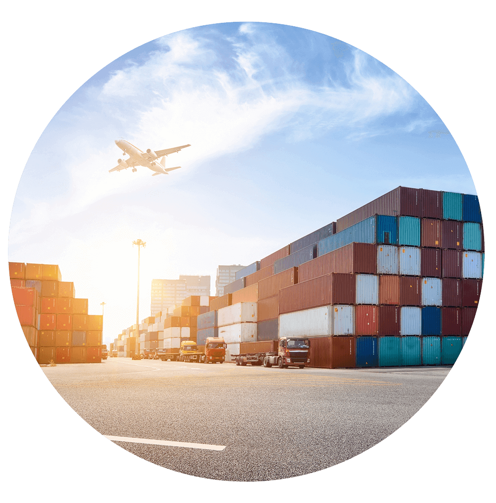 Emissão ágil da nota fiscal de
                                        importação através de arquivo
                                        fornecido pelo despachante (padrão txt
                                        do emissor gratuito conforme as
                                        especificações do manual do contribuinte
                                        da NF-e).