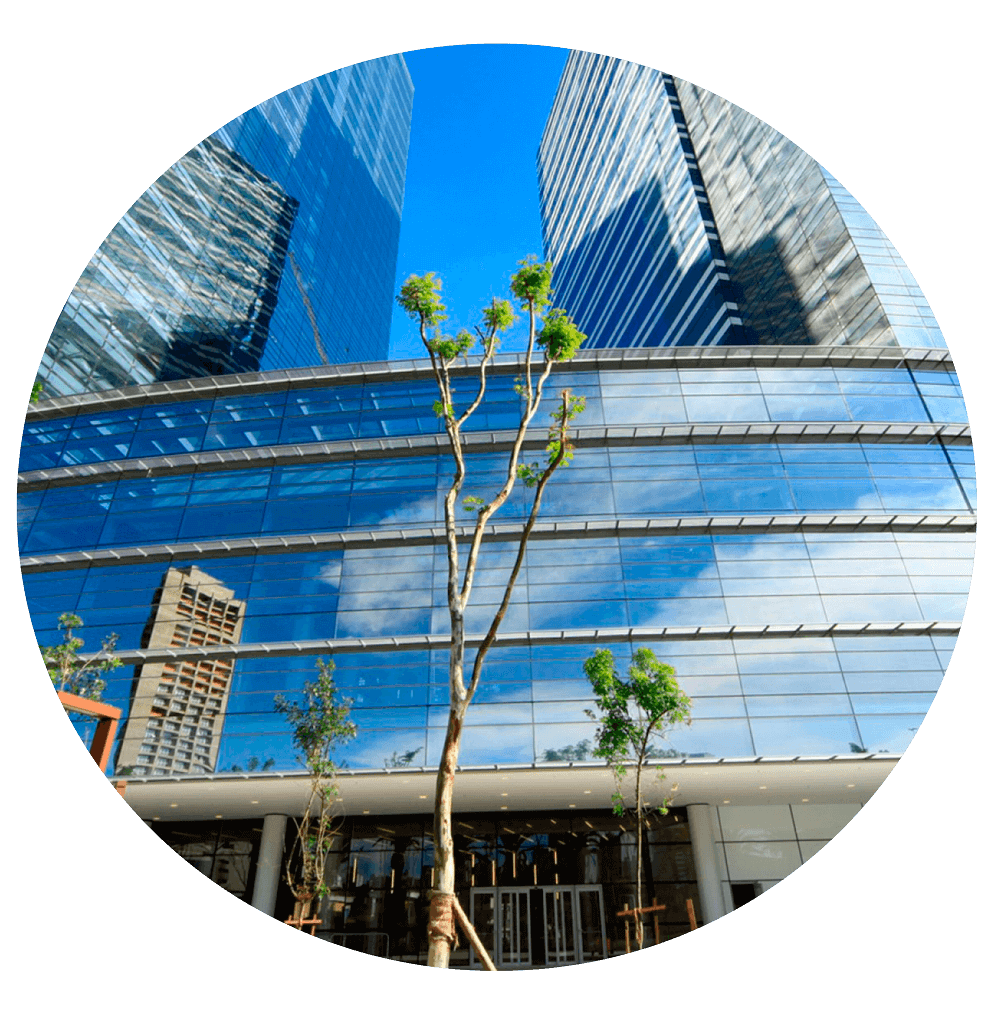 Administre suas diversas lojas com
                                        integração de dados em um único
                                        lugar. Monitore estoque, vendas e área
                                        financeira num sistema multi filial, com
                                        controle completo de maneira
                                        descomplicada.